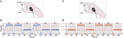 Beta Band Corticomuscular Drive Reflects Muscle Coordination Strategies